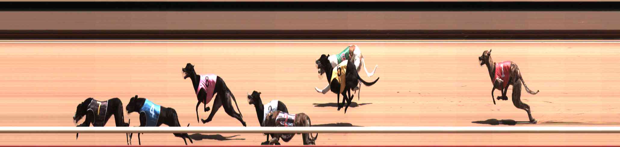 Photo finish for Healesville Race 8