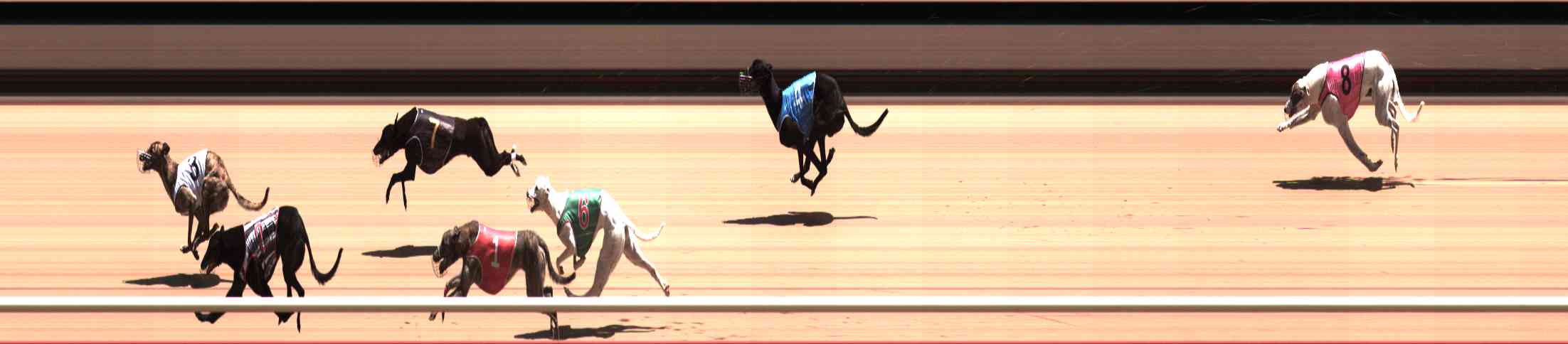 Photo finish for Healesville Race 9