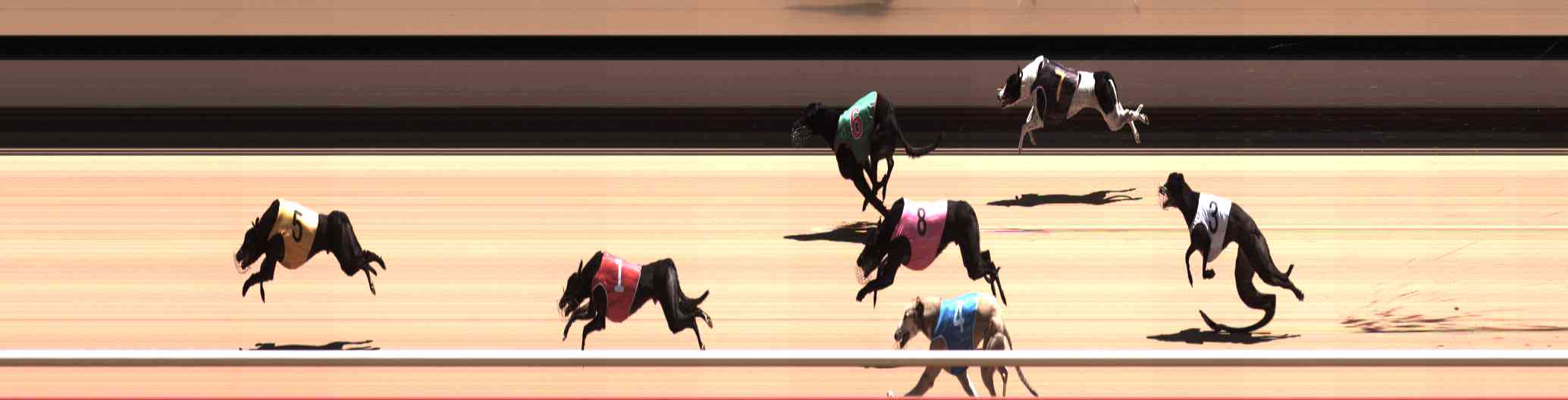 Photo finish for Healesville Race 10