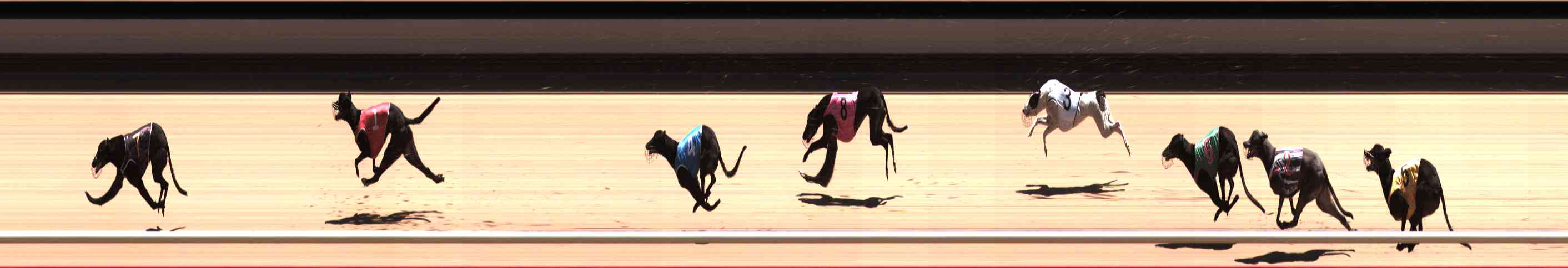 Photo finish for Healesville Race 11
