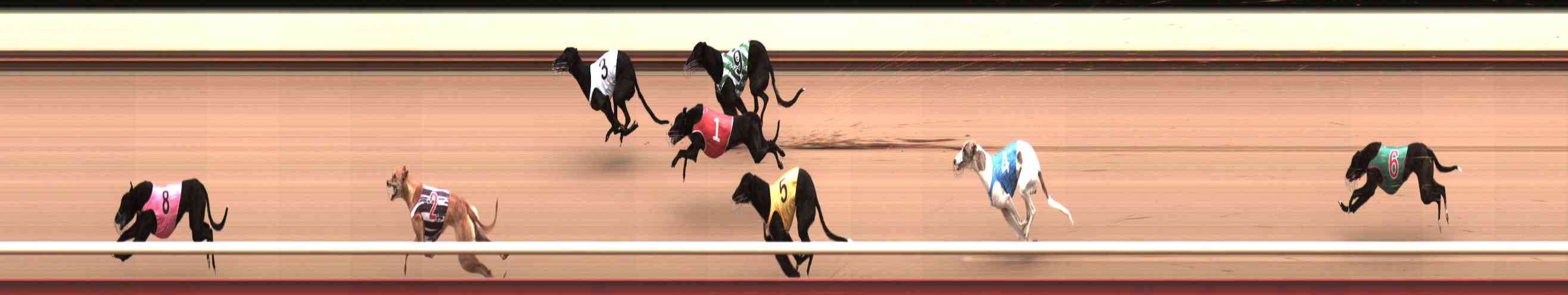 Photo finish for Healesville Race 2