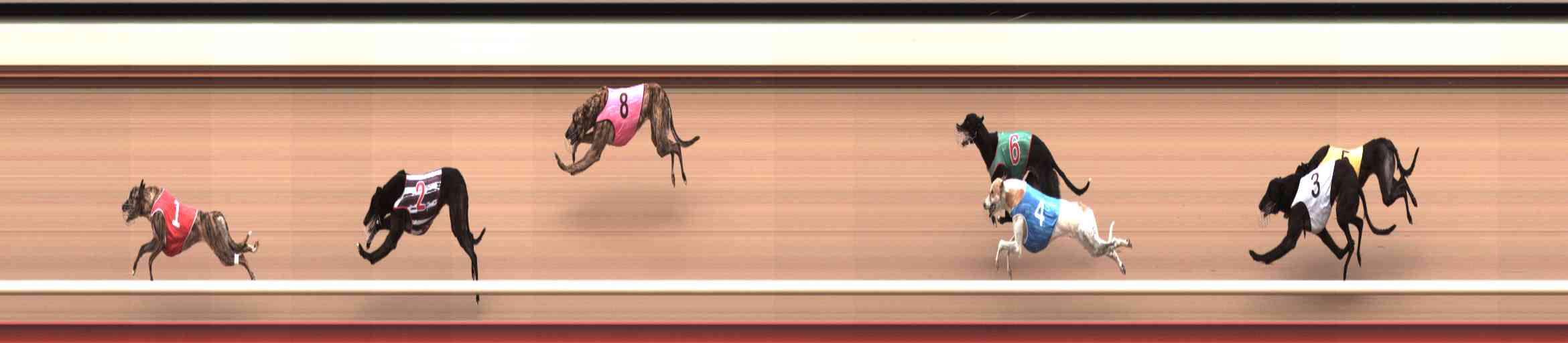 Photo finish for Healesville Race 3