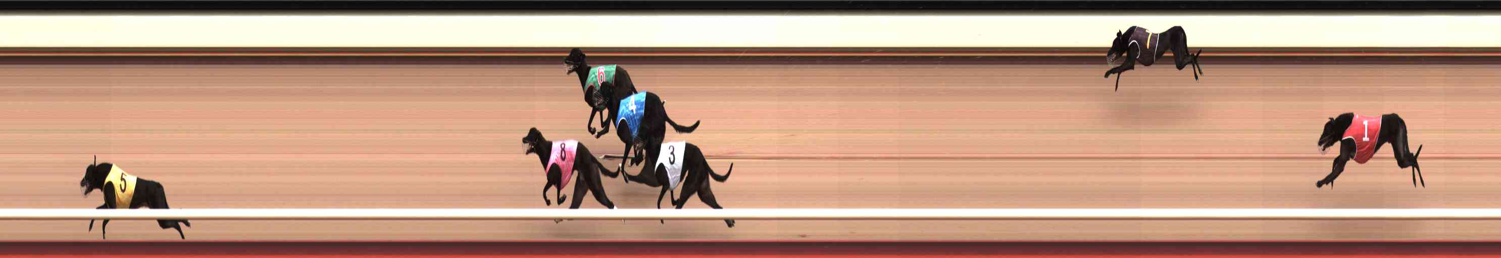 Photo finish for Healesville Race 5