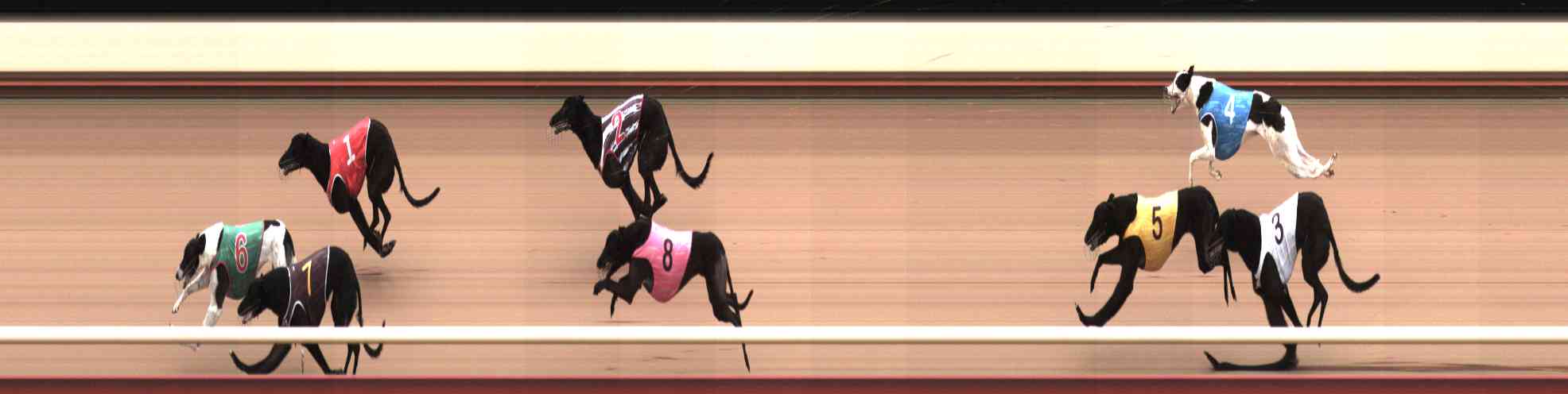 Photo finish for Healesville Race 6