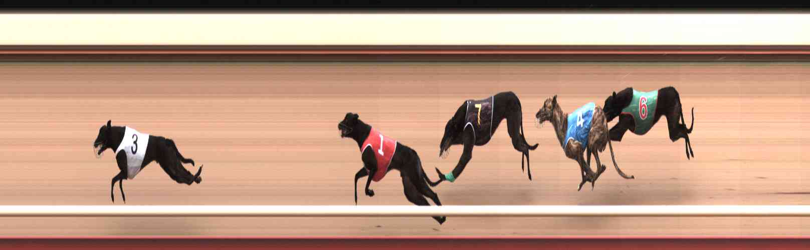 Photo finish for Healesville Race 7