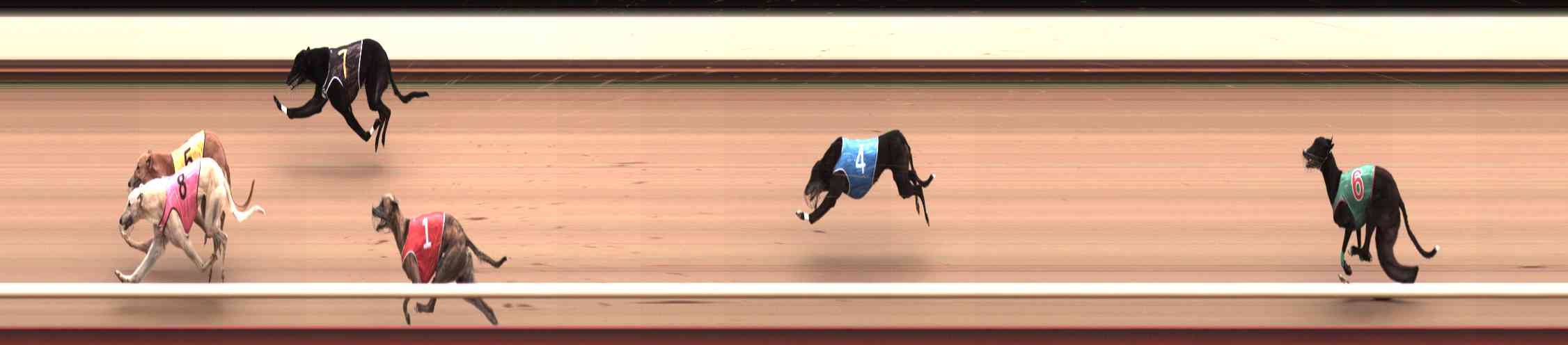 Photo finish for Healesville Race 8