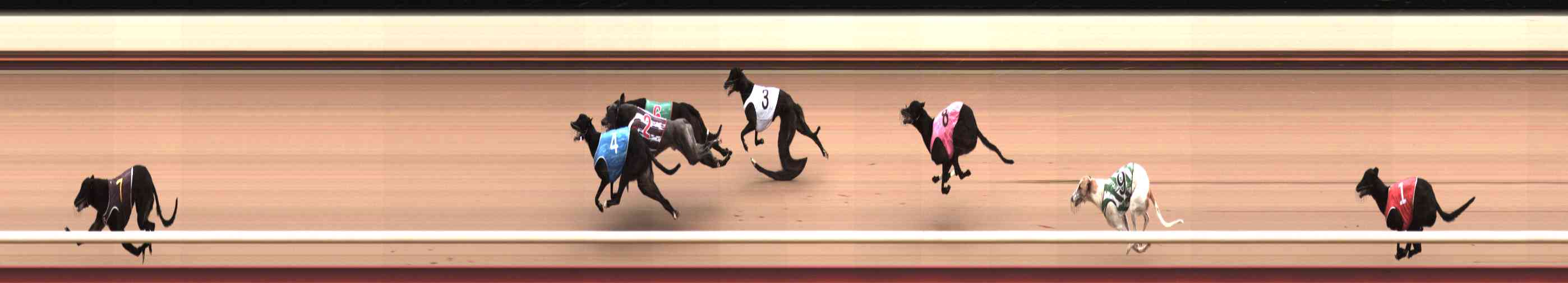 Photo finish for Healesville Race 9