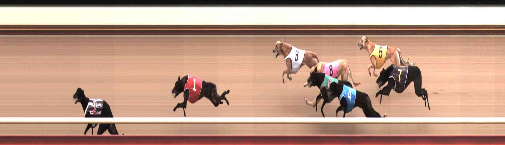 Photo finish for Healesville Race 10