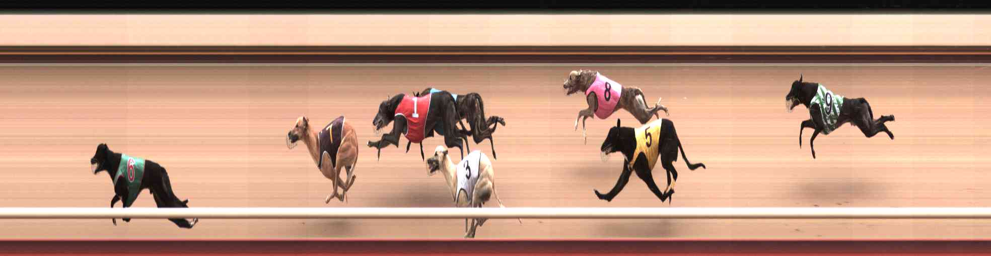 Photo finish for Healesville Race 11