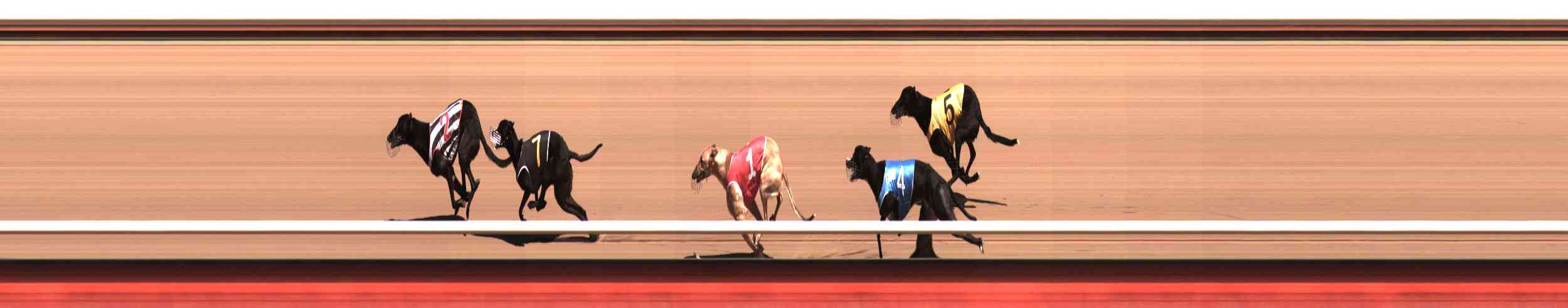 Photo finish for Healesville Race 2