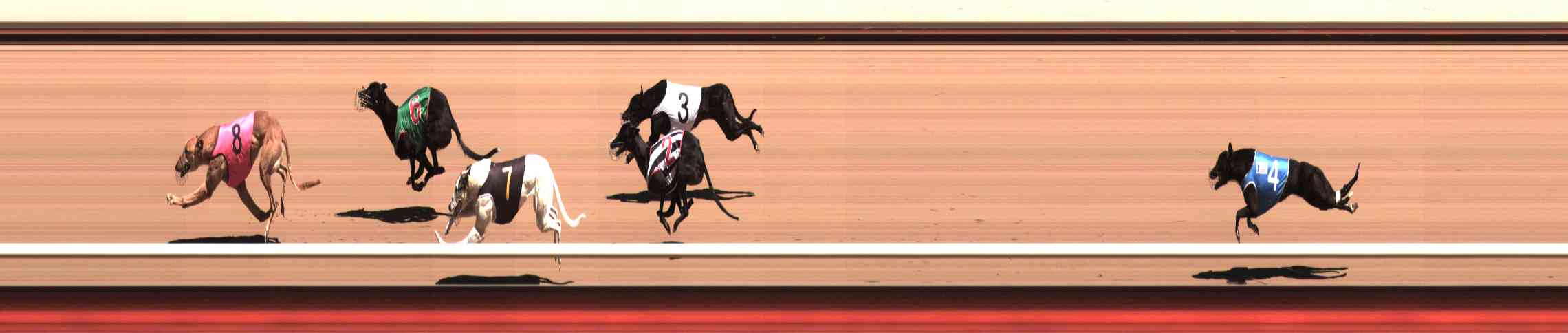 Photo finish for Healesville Race 3