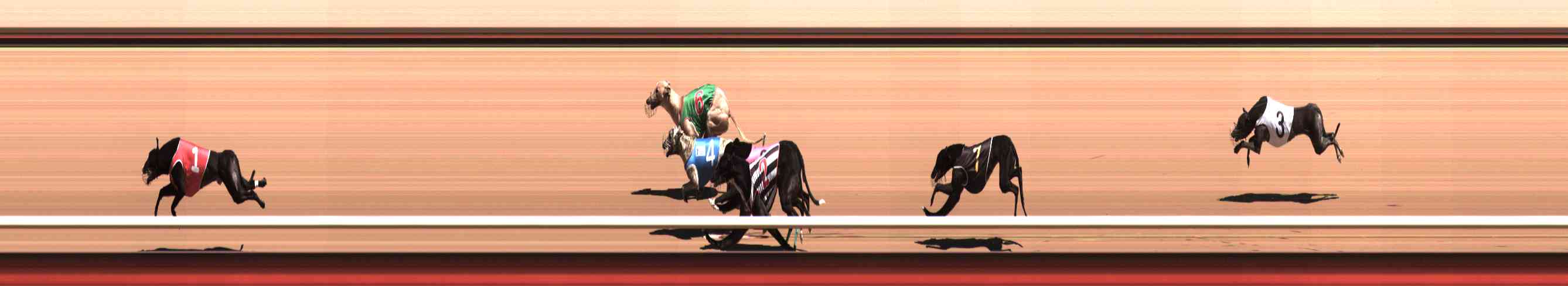 Photo finish for Healesville Race 4