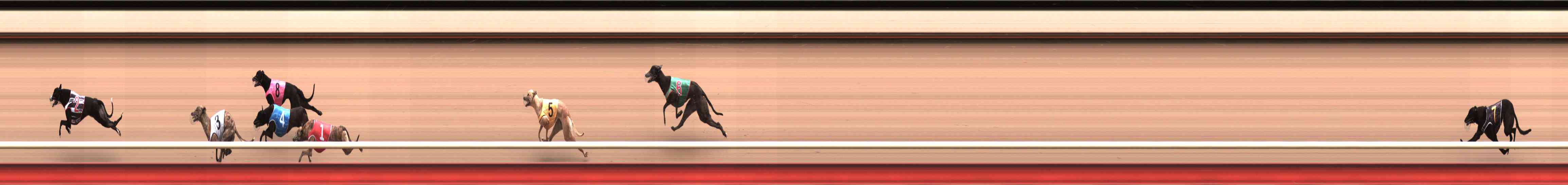 Photo finish for Healesville Race 2