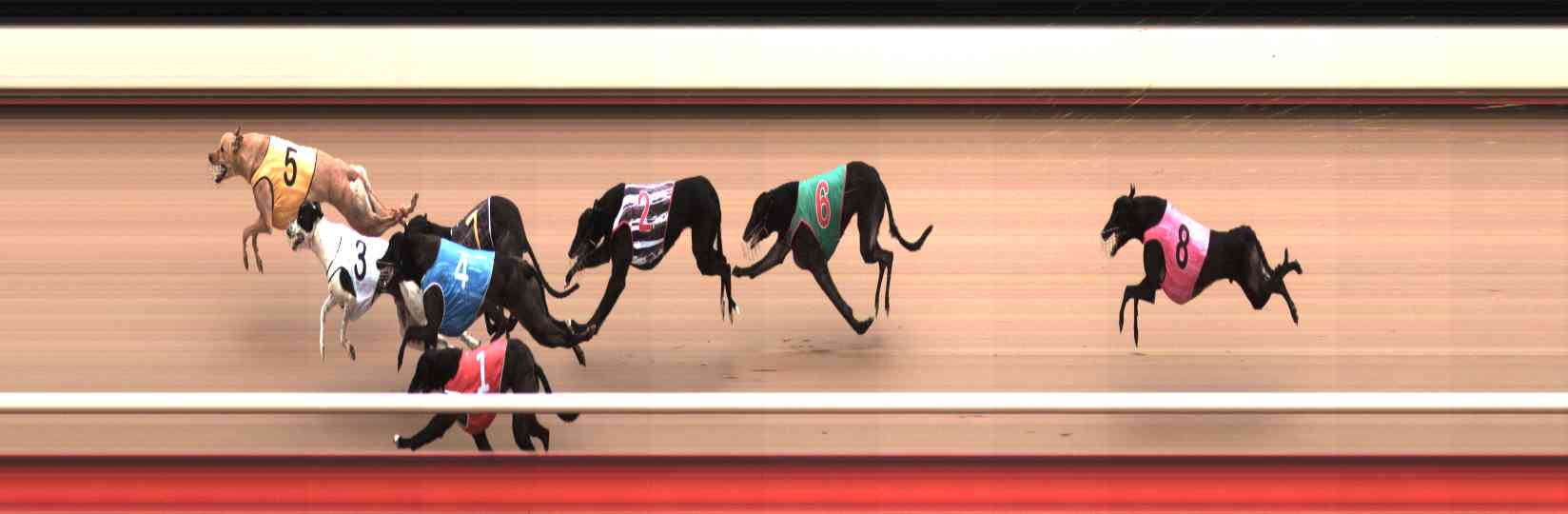 Photo finish for Healesville Race 4