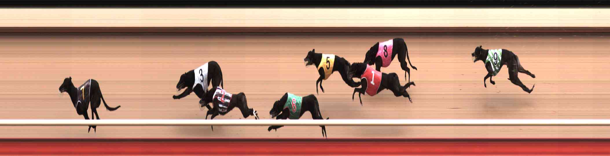 Photo finish for Healesville Race 8