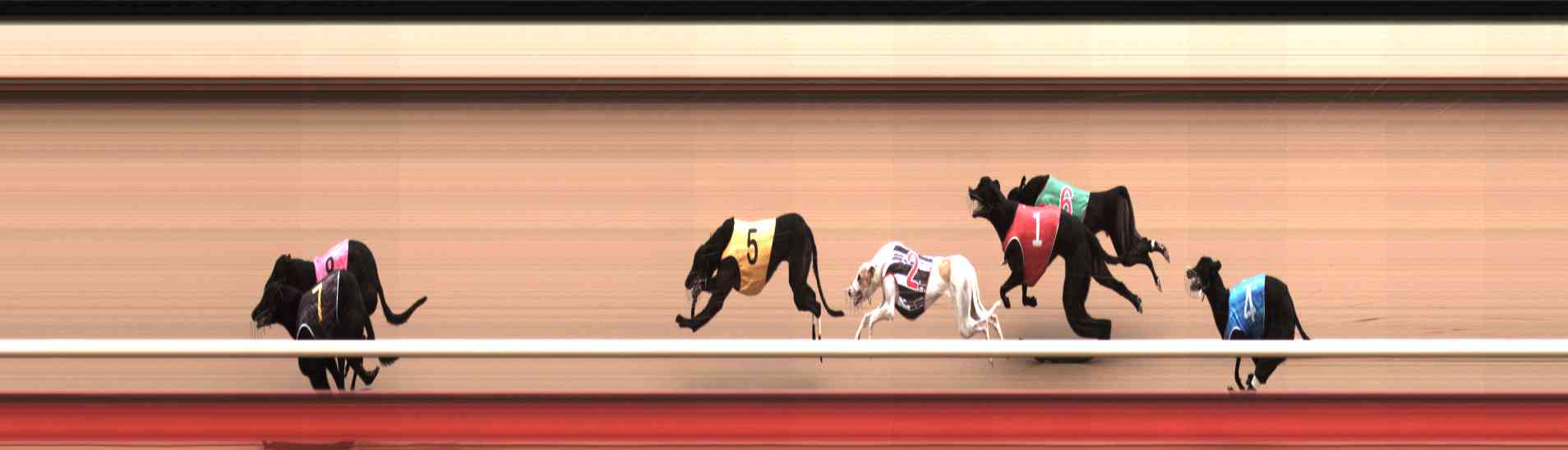 Photo finish for Healesville Race 9