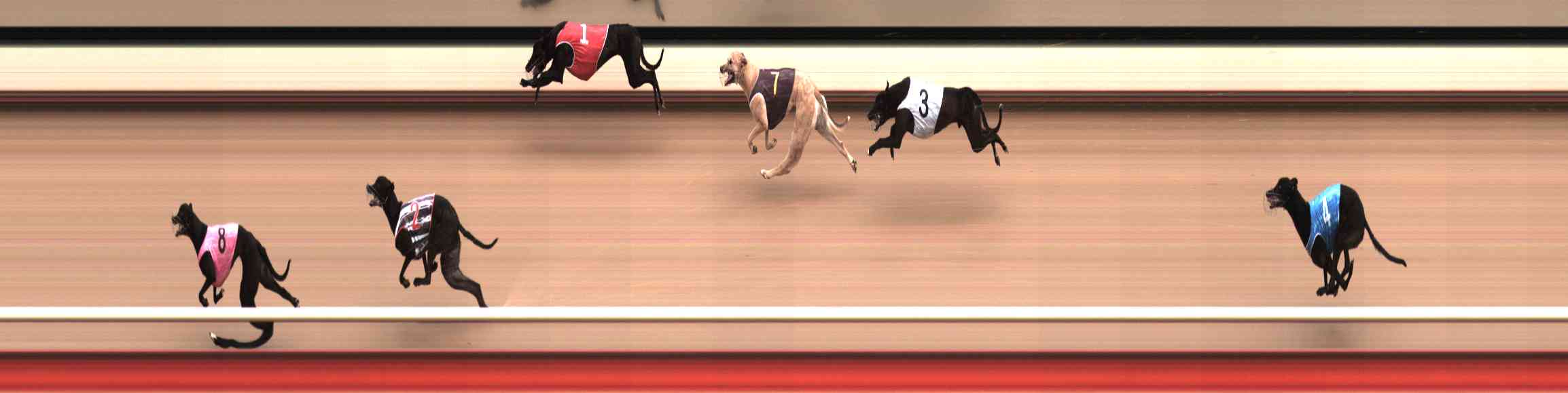 Photo finish for Healesville Race 10