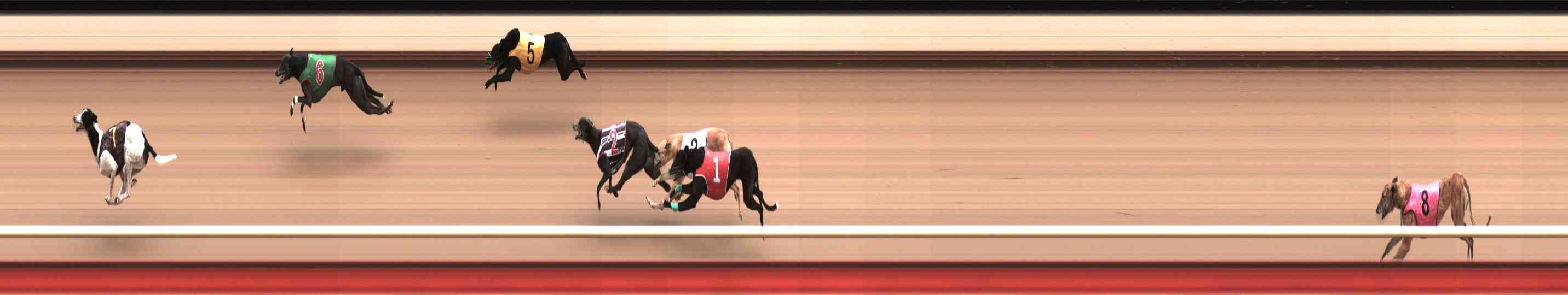 Photo finish for Healesville Race 12