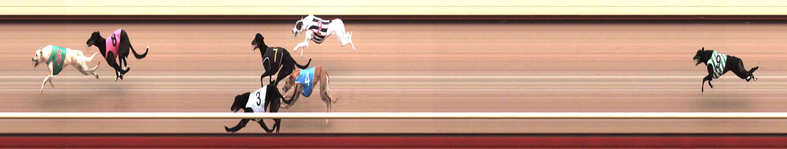 Photo finish for Healesville Race 3