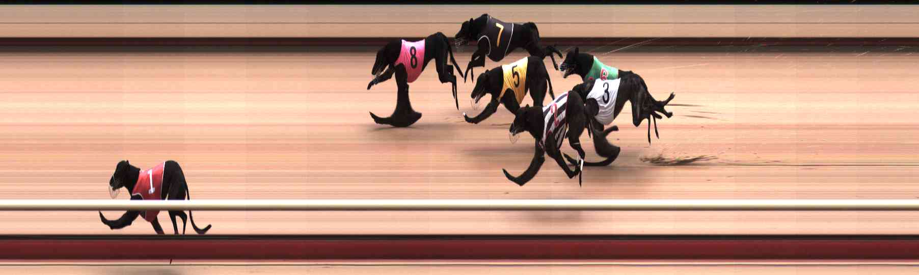 Photo finish for Healesville Race 4