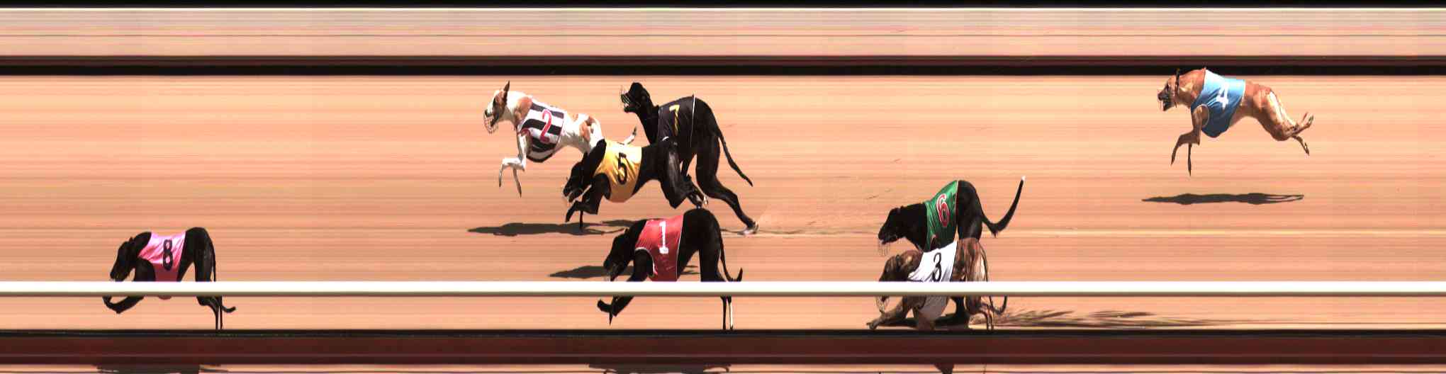 Photo finish for Healesville Race 6