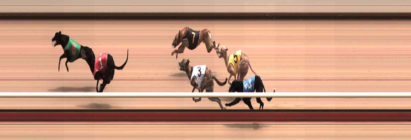 Photo finish for Healesville Race 9