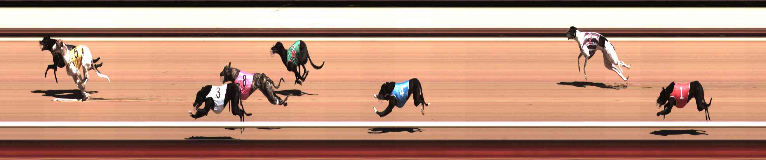 Photo finish for Healesville Race 2