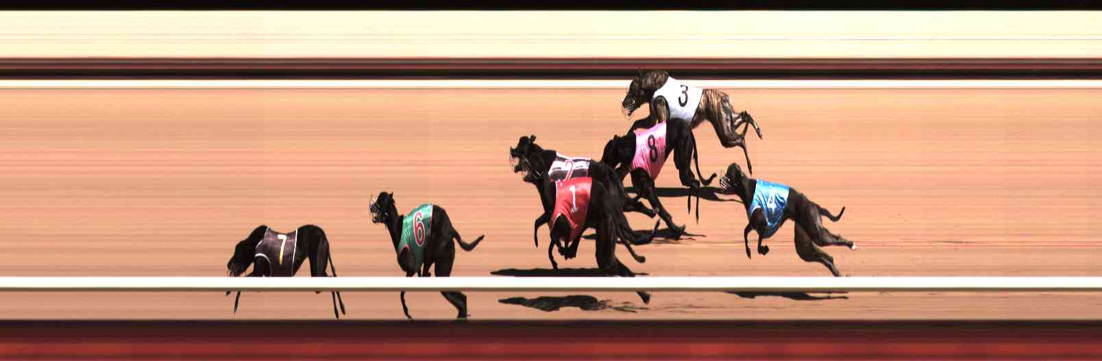 Photo finish for Healesville Race 3