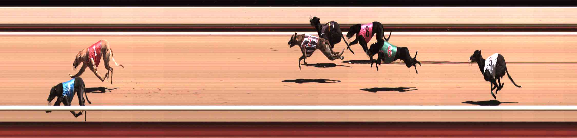 Photo finish for Healesville Race 4