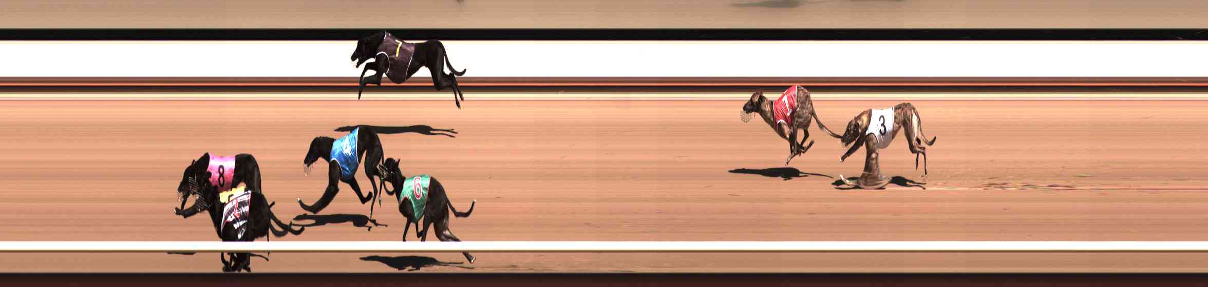 Photo finish for Healesville Race 2
