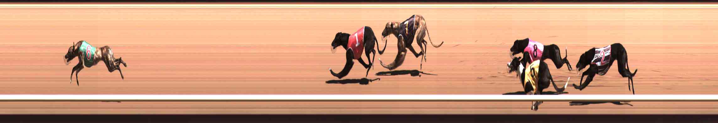Photo finish for Healesville Race 5