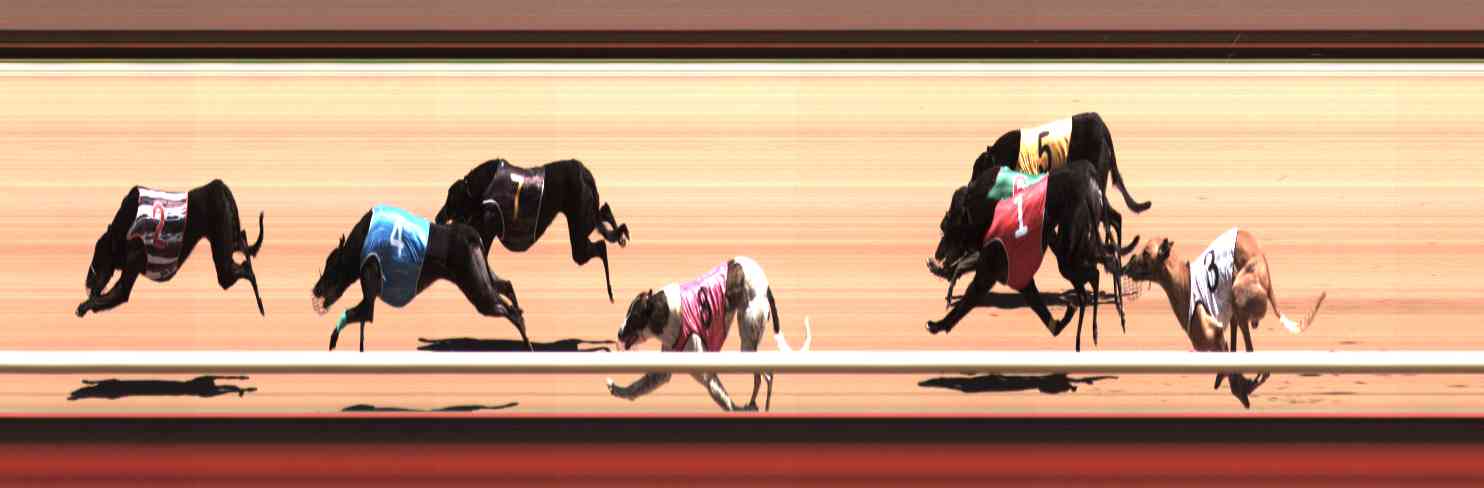 Photo finish for Healesville Race 7