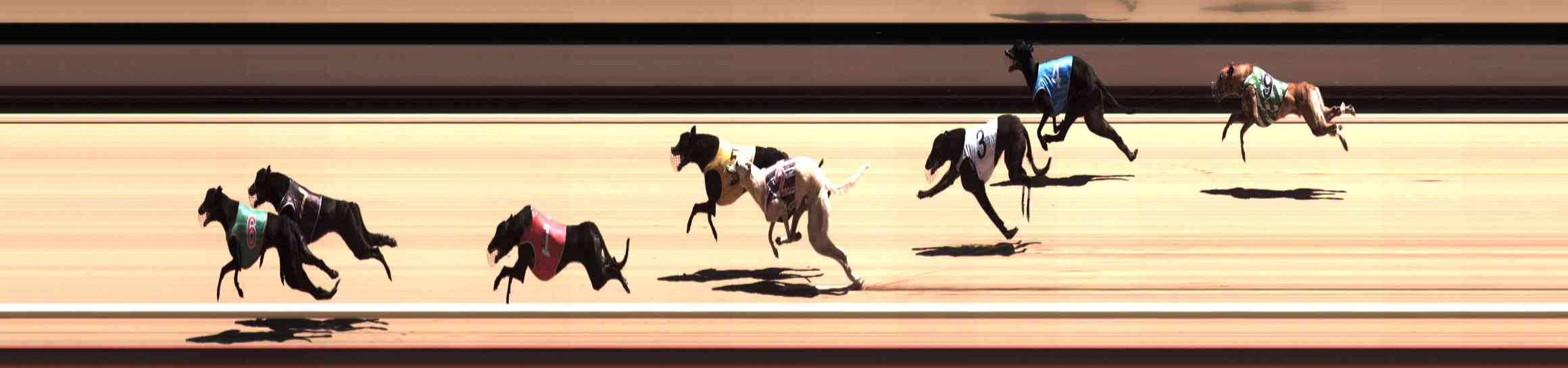 Photo finish for Healesville Race 9