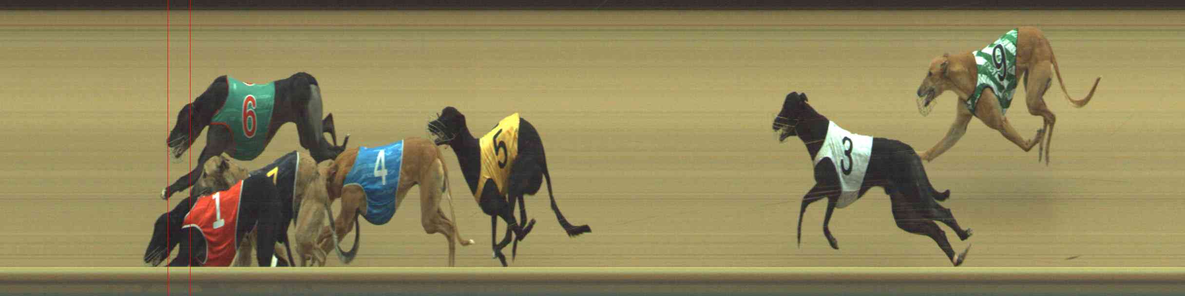 Photo finish for Healesville Race 8