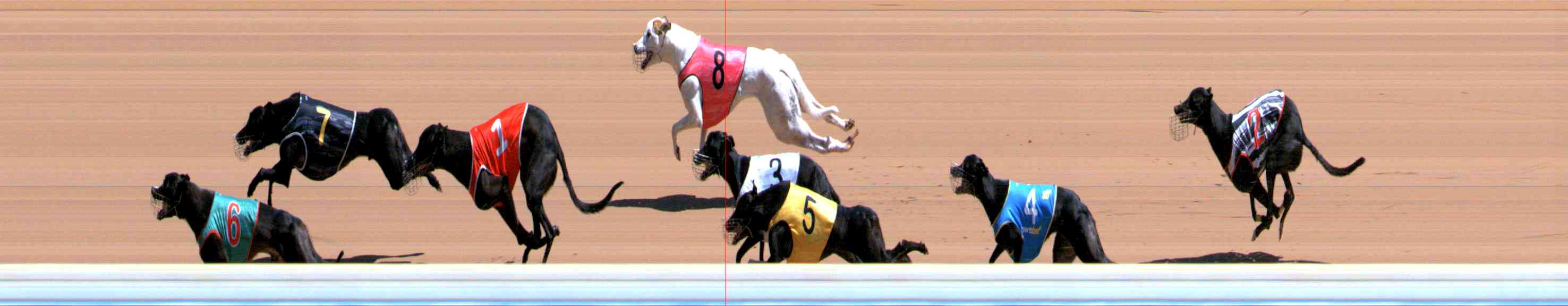 Photo finish for Healesville Race 7