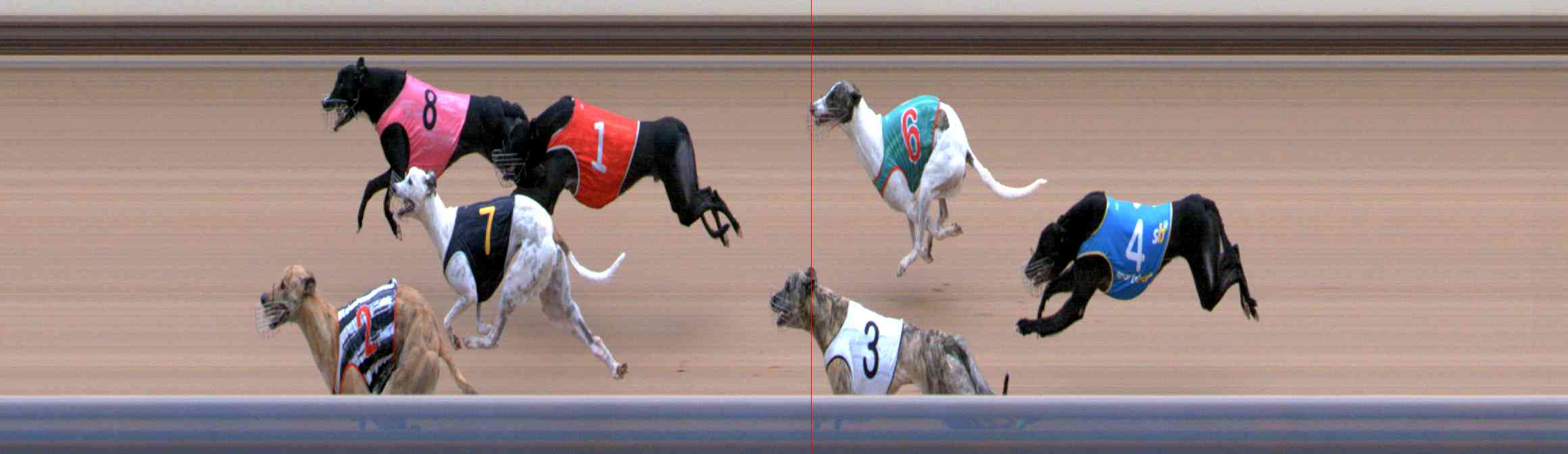 Photo finish for Healesville Race 10
