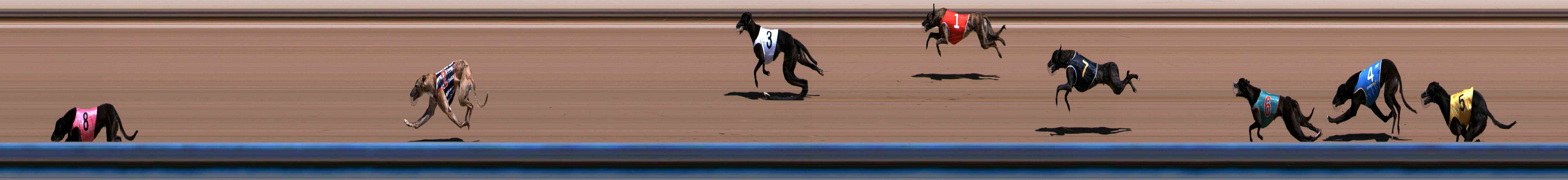 Photo finish for Healesville Race 1