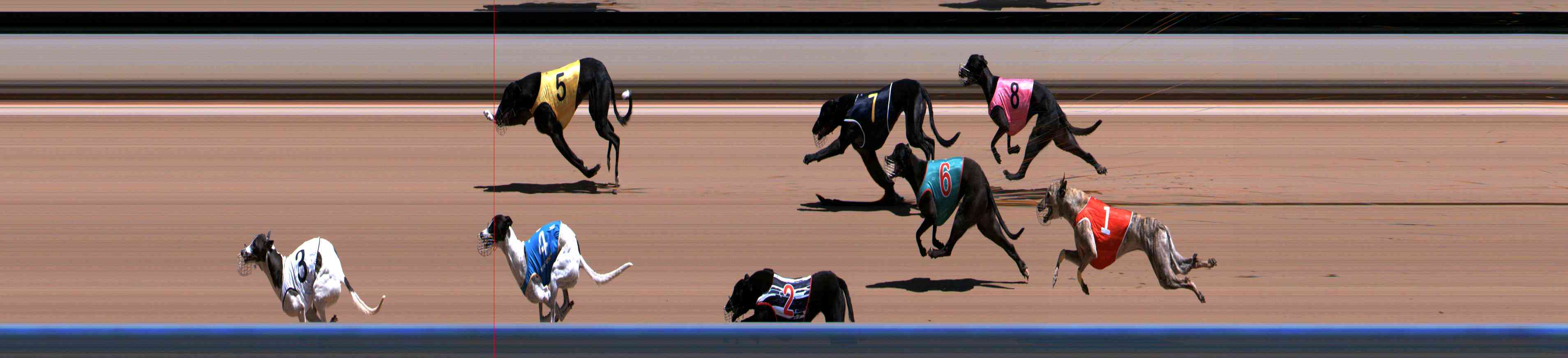Photo finish for Healesville Race 3