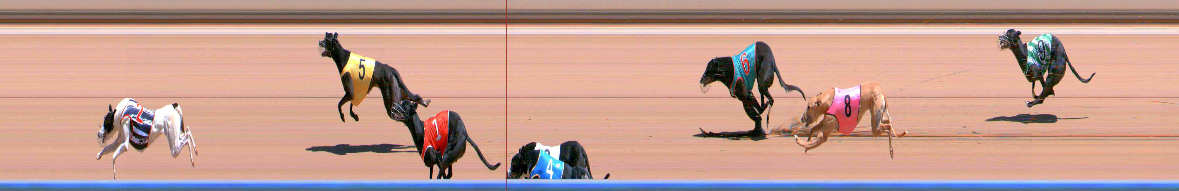 Photo finish for Healesville Race 4