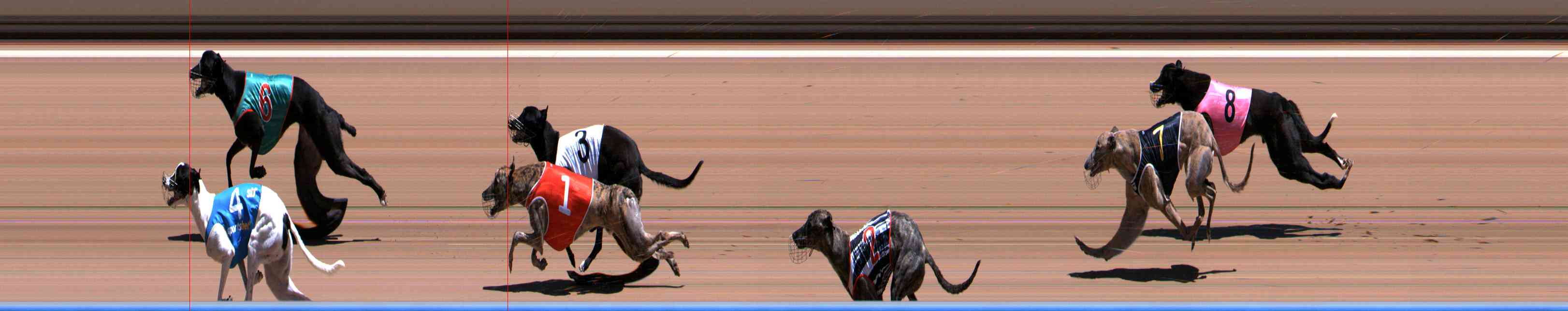 Photo finish for Healesville Race 5