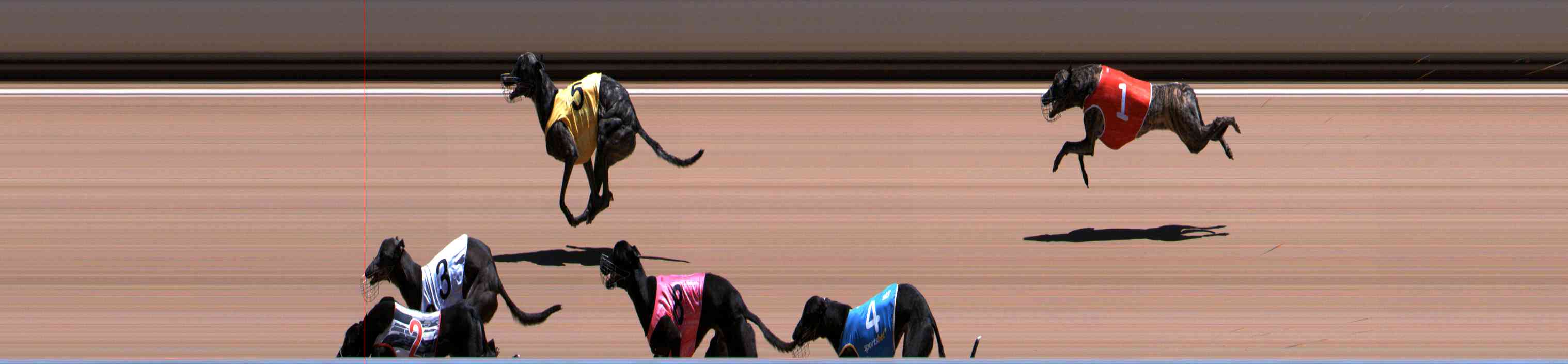 Photo finish for Healesville Race 6