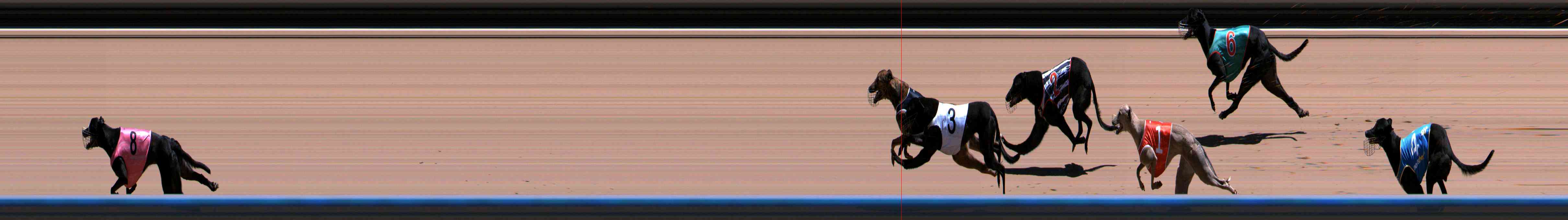 Photo finish for Healesville Race 7