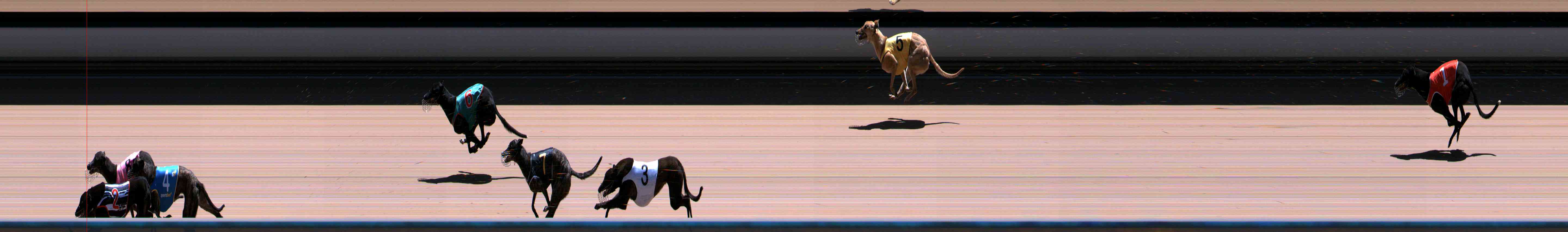 Photo finish for Healesville Race 10
