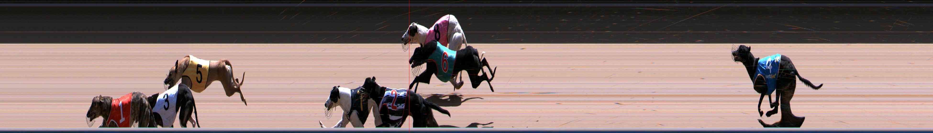 Photo finish for Healesville Race 12