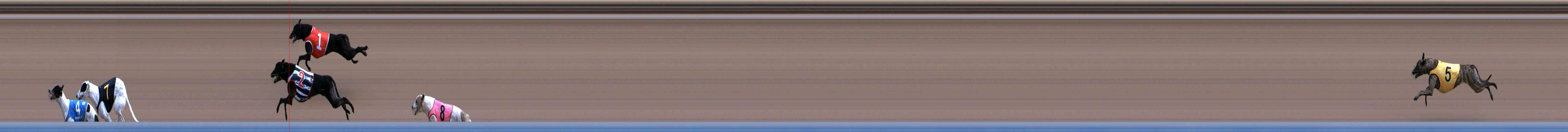 Photo finish for Healesville Race 2