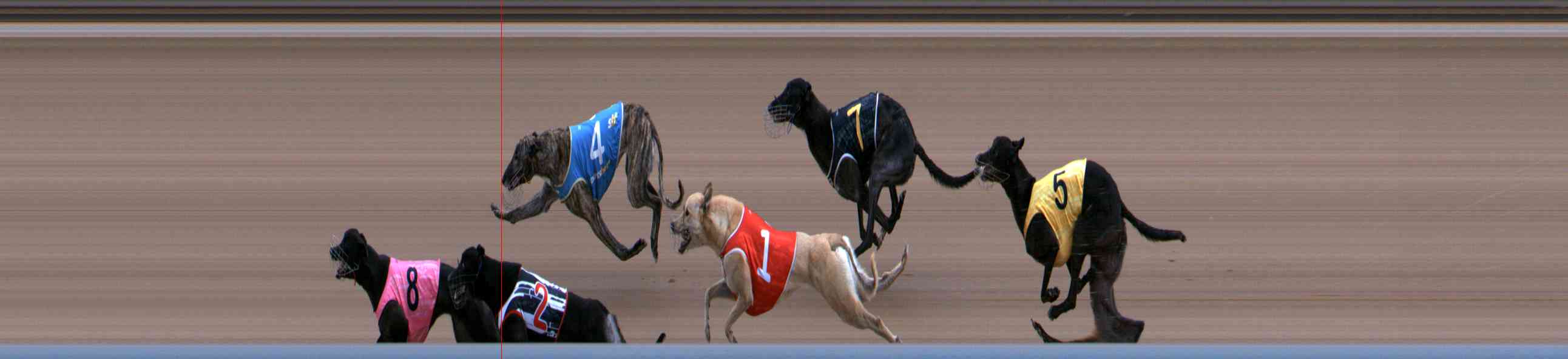 Photo finish for Healesville Race 3