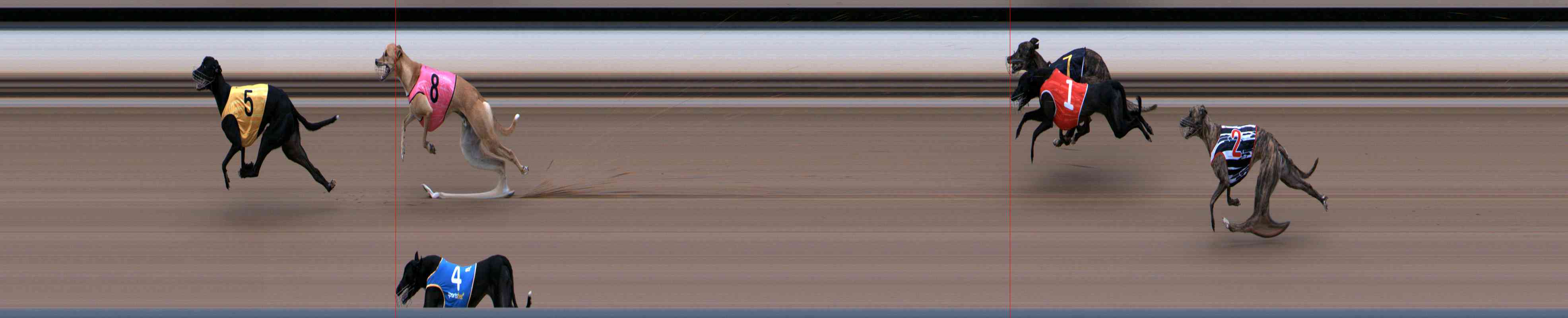 Photo finish for Healesville Race 4
