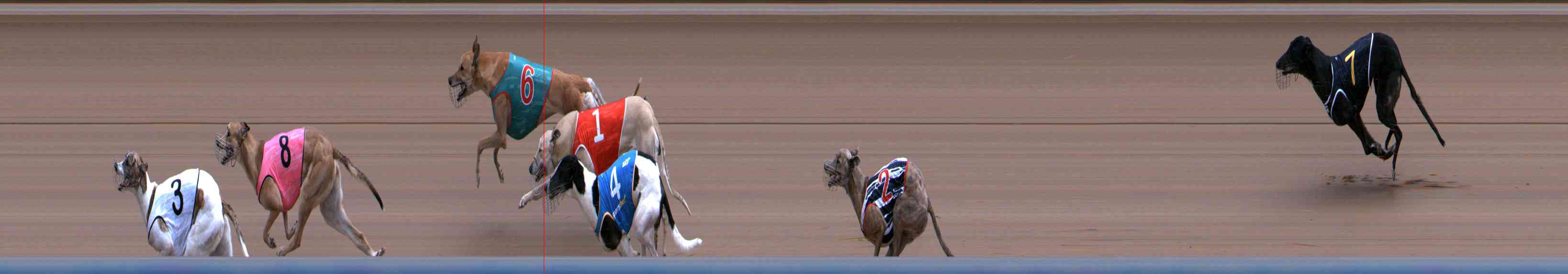 Photo finish for Healesville Race 5