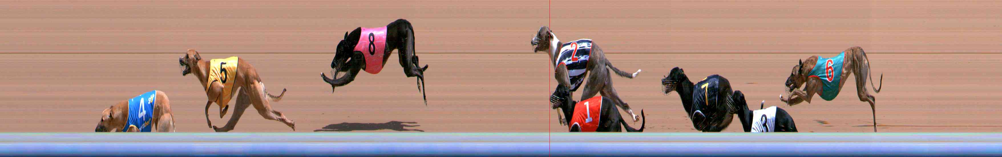 Photo finish for Healesville Race 6