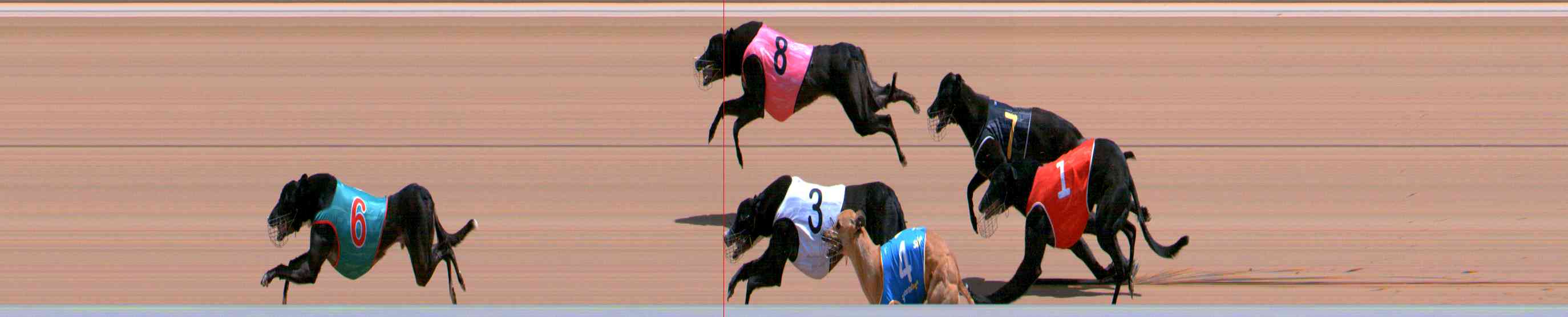 Photo finish for Healesville Race 7